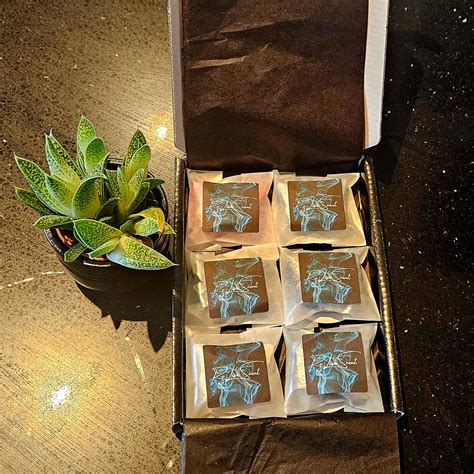 Image result for Harry Potter Flutter Box