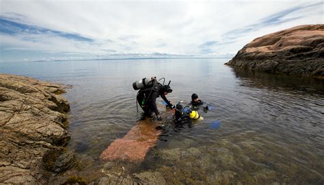 Image result for Decouverte Du Milieu