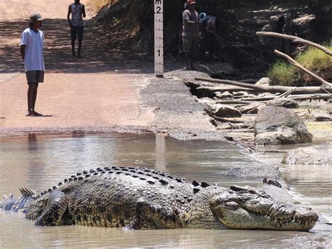 Source Code Lab に対する画像結果