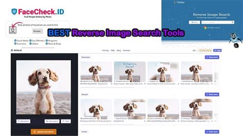 Afbeeldingsresultaten voor Best Reverse Image Search Tools