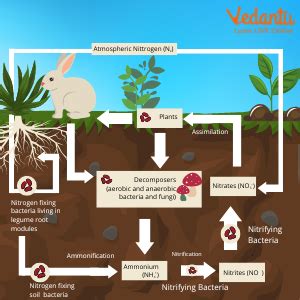 Image result for Nitrogen Gas Detector Arduino