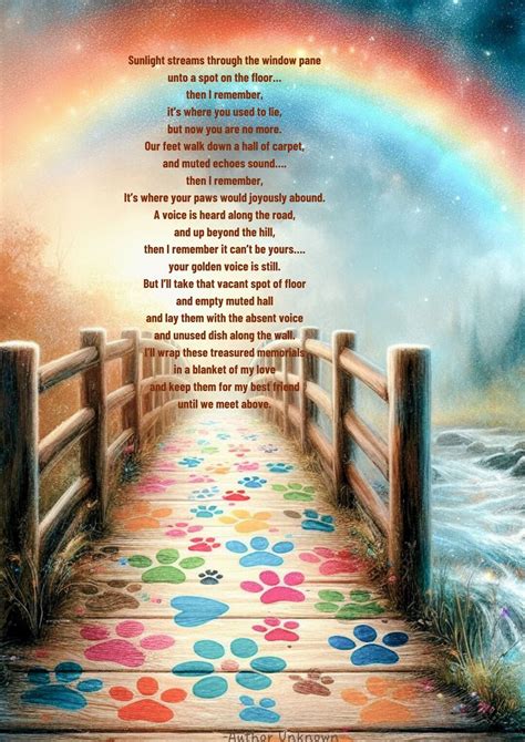 Image result for Doy Lossy