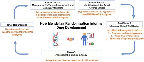 Image result for Mendelian Randomization Studies