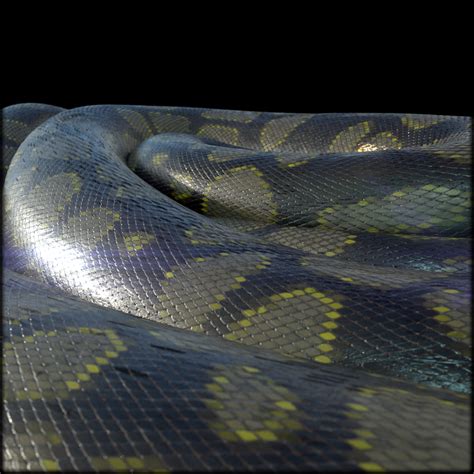 Anaconda Python Snake に対する画像結果