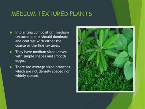 Landscape Game UI Template Adventure に対する画像結果