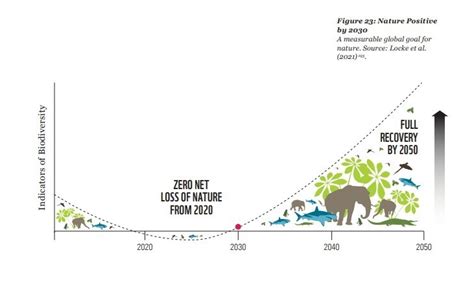 Image result for Biodiversity Loss Graph