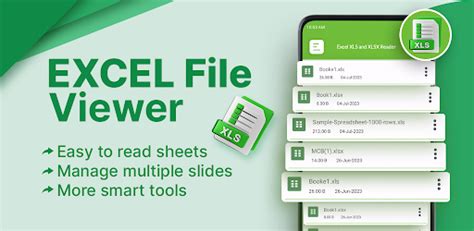 Image result for Excel Viewer Mode
