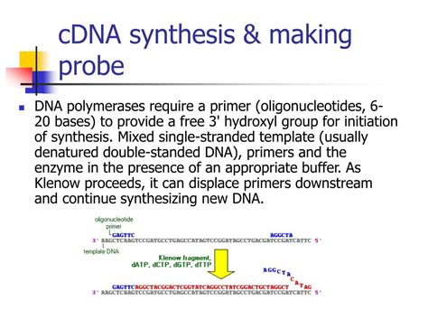 Image result for cDNA Probe