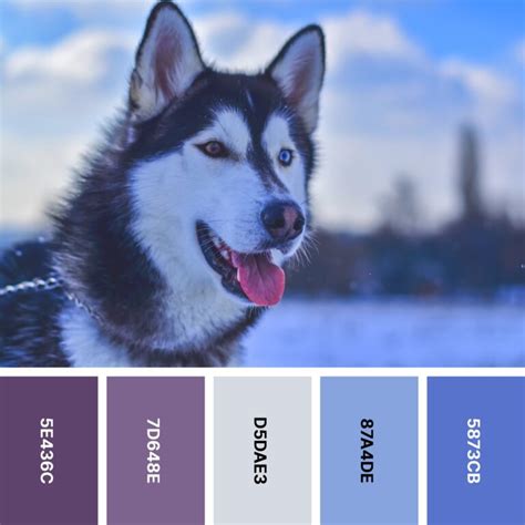 Image result for Awesome Color Palette