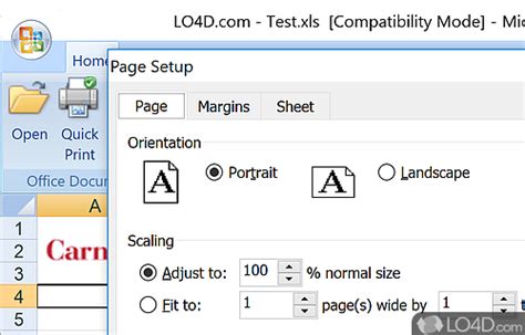 Image result for Excel Viewer Mode