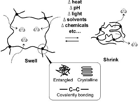Paper Mache Mold Making-க்கான படிம முடிவு