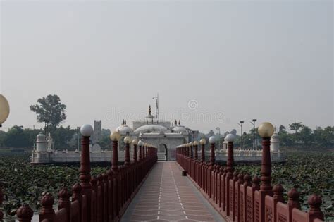 Toradh íomhá ar Body Language September 1985