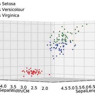 Iris Data Flow Diagram に対する画像結果