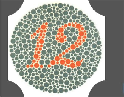 Green Orange Color Blind Test に対する画像結果