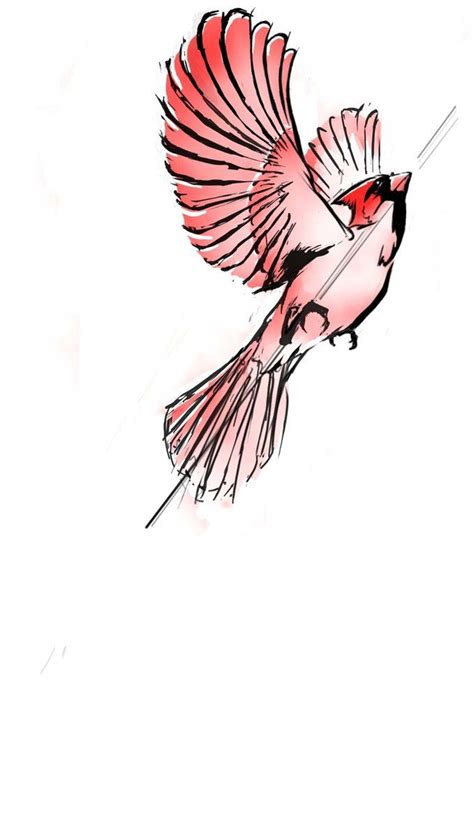 Toradh íomhá ar Cardinal Bird Outline Drawing
