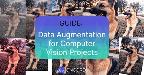 Image result for What's Data Augmentation