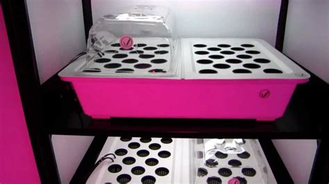 Toradh íomhá ar Clone Machine