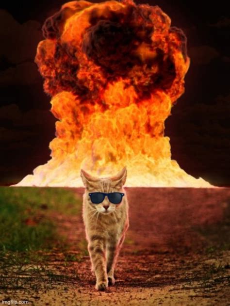Image result for Nuke Explosion Cat Face Meme