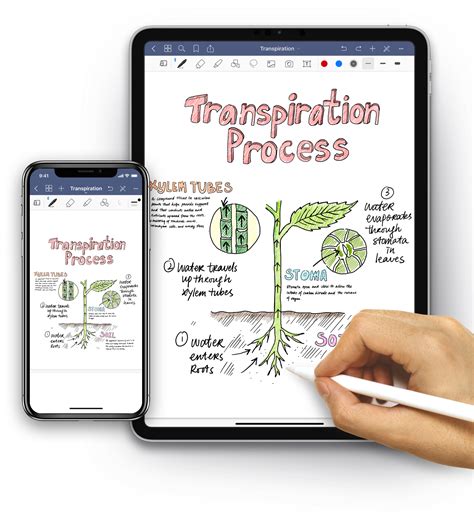 Afbeeldingsresultaten voor Good Notes 5 vs Not Ability