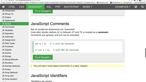 W3Schools JavaScript Cookies-এর ছবি ফলাফল