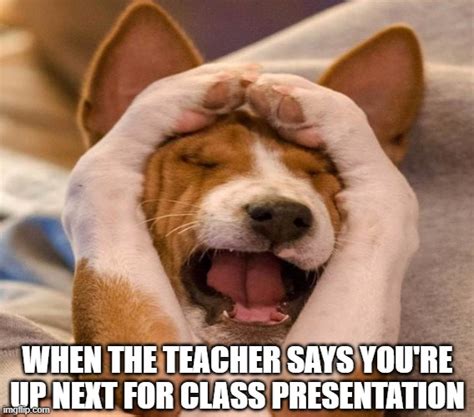 Class Presentation - Imgflip