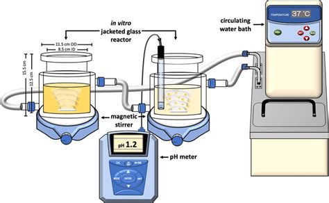 Image result for HGS Simulated Digestion