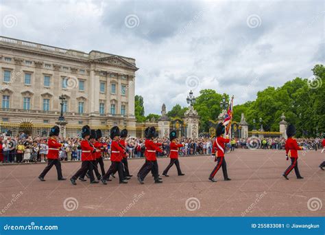 Image result for Life Guard