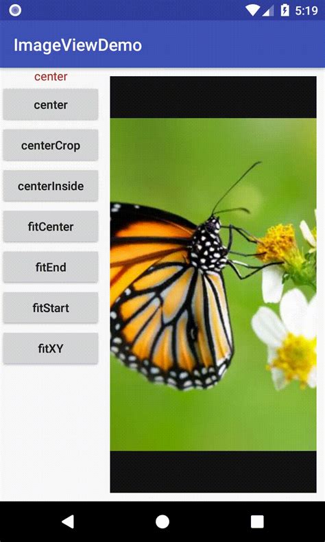 Image result for Center Inside Image View Android