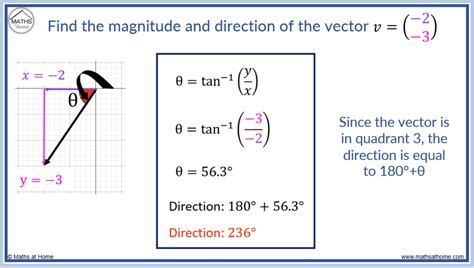 Vector Calculus Graph に対する画像結果