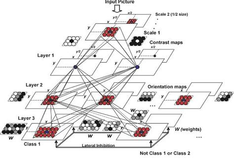 Toradh íomhá ar Spiking Neural Network Architecture Diagram