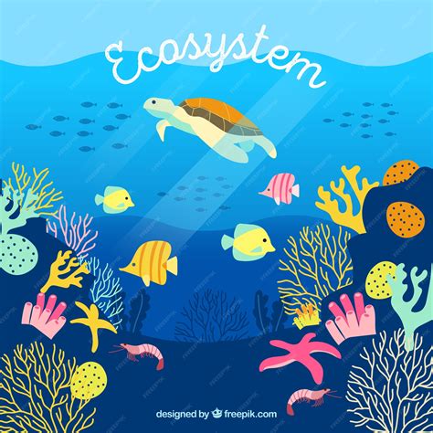 Turtle Ecosystem Drawing に対する画像結果