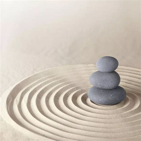 Zen Principles に対する画像結果