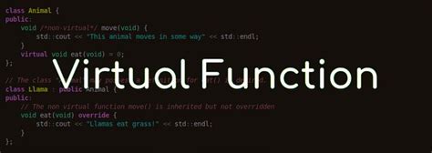 Image result for What Is a Virtual Function