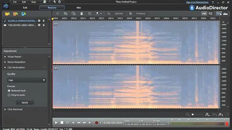 Image result for AudioDirector