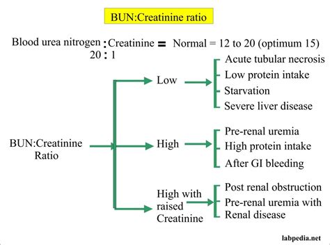 Afbeeldingsresultaten voor Normal Creatinine Levels Chart