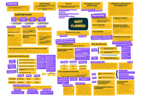 Image result for Nsoa Audit Process Mind Map