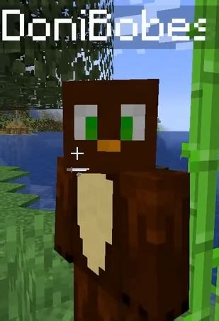 Image result for Doni Bobes Server IP Address