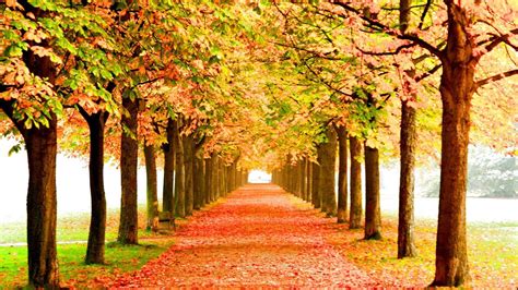 Image result for Fall Seasons