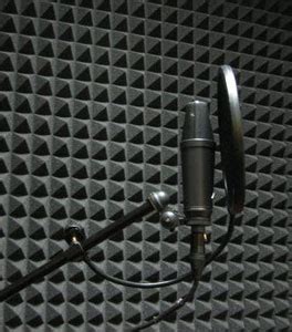 Image result for Voice Over Booth