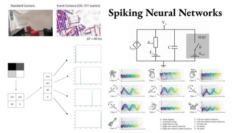 Image result for Sparse Coding in Spiking Neural Networks