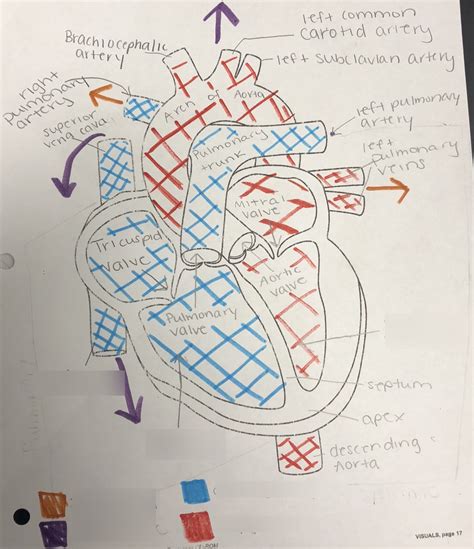 Toradh íomhá ar .Net Basics Diagram