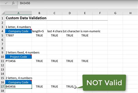 Image result for Data Validation Custom