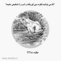 Bildergebnis für Cymatics GIF