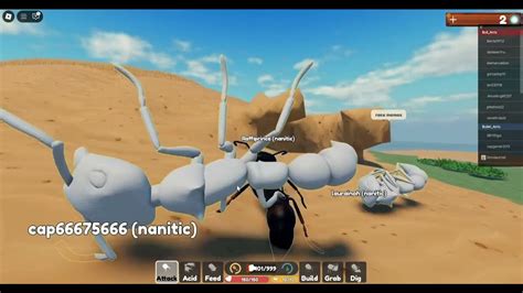 Image result for Roblox Ant Game