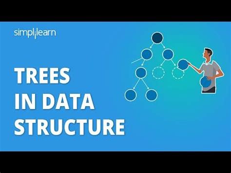Toradh íomhá ar Forest and Trees Data Structure in Research