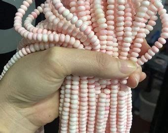 Résultat d’images pour Queen Conch Out of Shell