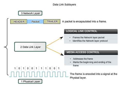 Nic Adressing in the Data Link Layer に対する画像結果