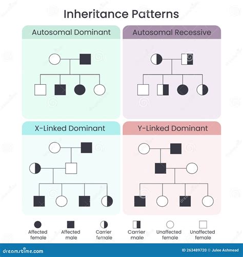 Image result for Inheritance Diagram CSE