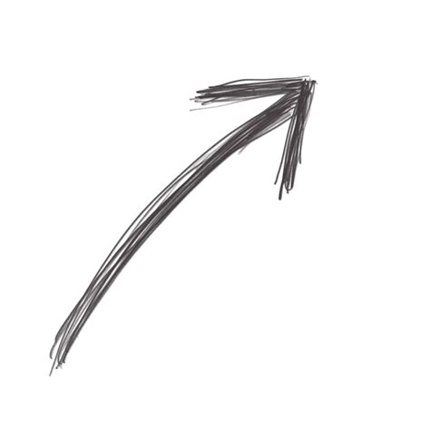 Image result for Arrow Illustration PNG