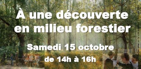 Image result for Decouverte Du Milieu